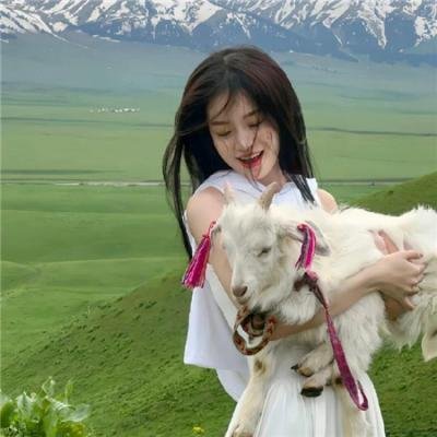 摩哈维的月亮 海报